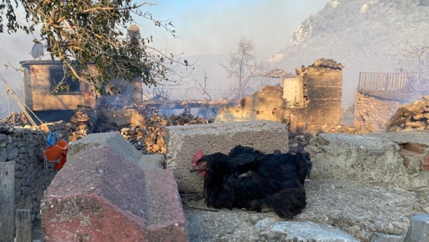 Foto - Antalya Manavgat'tan sonra Akseki'de de yangın çıktı