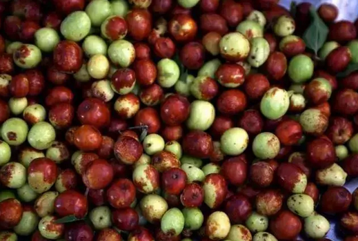 Foto - Antalya, Mersin ve Adana'da yok satıyor! Değerini Çinliler biliyor: Bardak bardak içen mum gibi eriyor! İlgili bilgiler