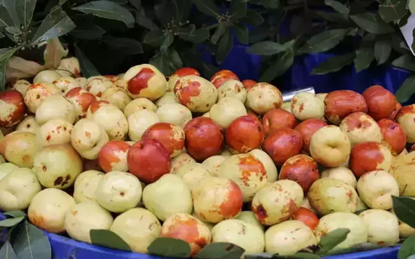 Foto - Antalya, Mersin ve Adana'da yok satıyor! Değerini Çinliler biliyor: Bardak bardak içen mum gibi eriyor! İlgili bilgiler