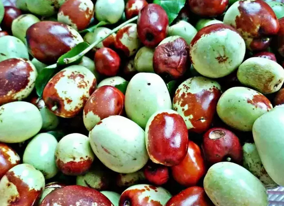 Foto - Antalya, Mersin ve Adana'da yok satıyor! Değerini Çinliler biliyor: Bardak bardak içen mum gibi eriyor! İlgili bilgiler