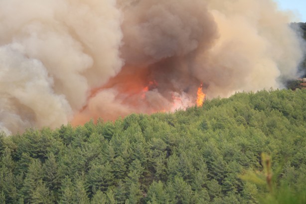 Foto - Antalya’da 1 buçuk saatlik panik