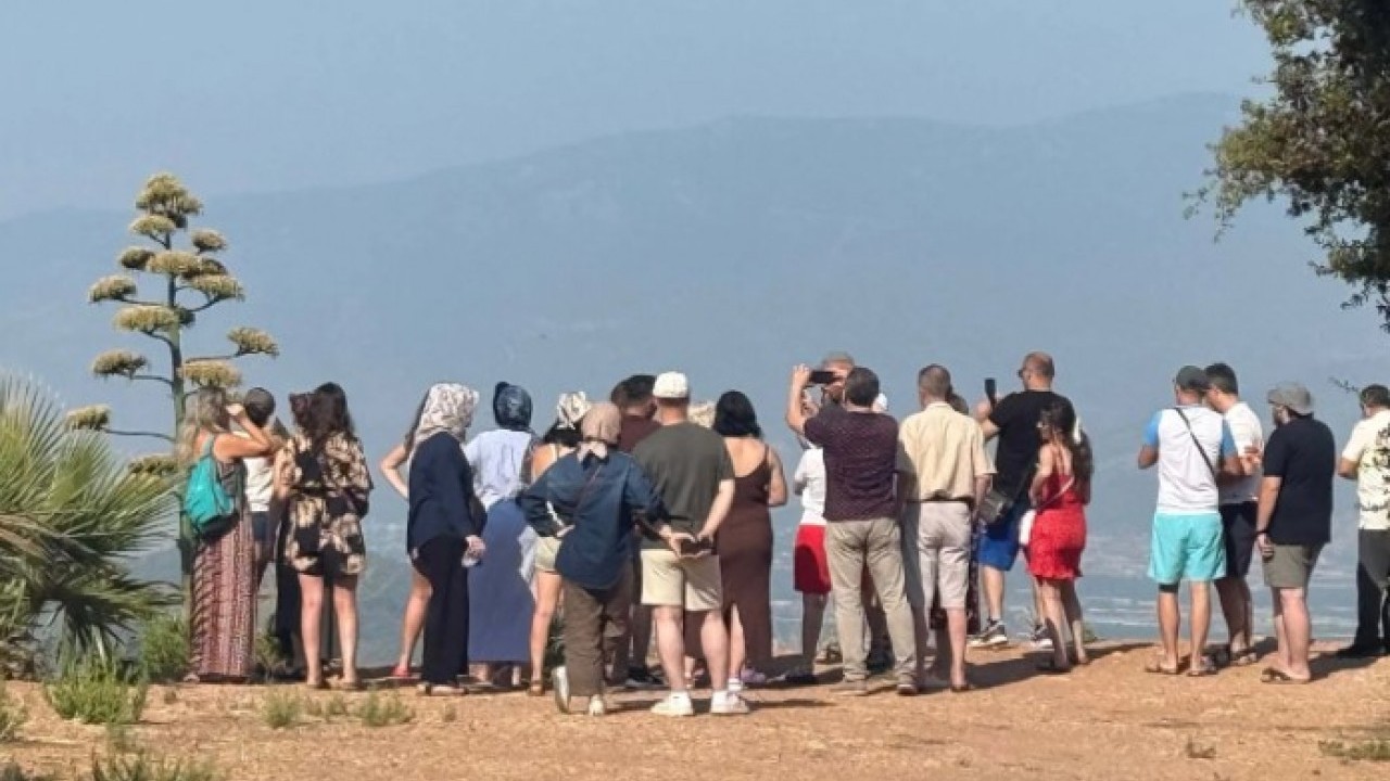 Foto - Antalya’da 30 yıl sonra şaşırtan görüntü! Görmek için sıraya girdiler