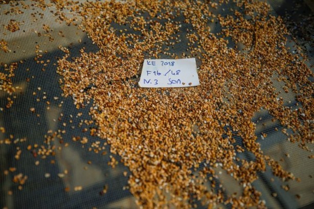 Foto - Antalya'da 500 bin yıllık mağaradan "cımbız"la tarih ayıklıyorlar