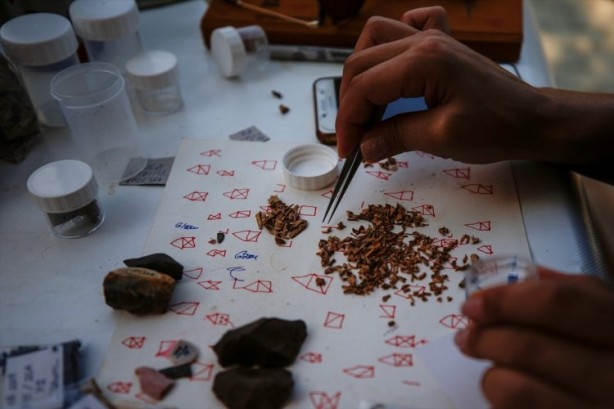 Foto - Antalya'da 500 bin yıllık mağaradan "cımbız"la tarih ayıklıyorlar