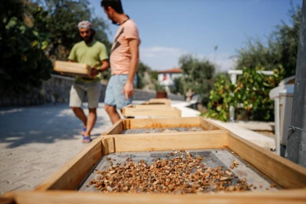 Foto - Antalya'da 500 bin yıllık mağaradan "cımbız"la tarih ayıklıyorlar