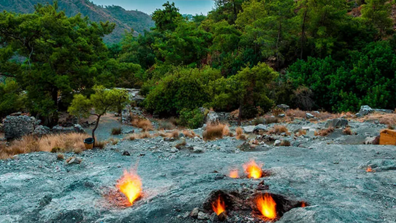 Foto - Antalya'da bu olay dünyayı bile şaşırtıyor: Kimse bu sonucu beklemiyordu!