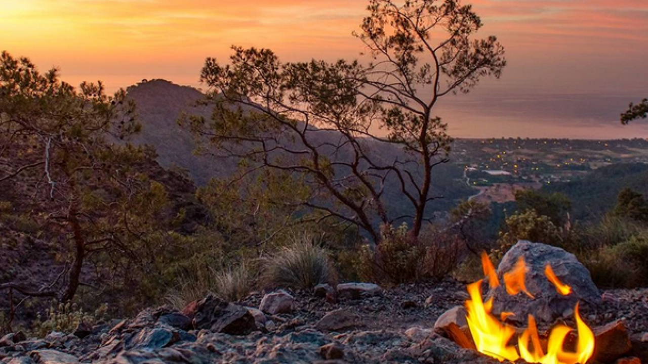 Foto - Antalya'da bu olay dünyayı bile şaşırtıyor: Kimse bu sonucu beklemiyordu!