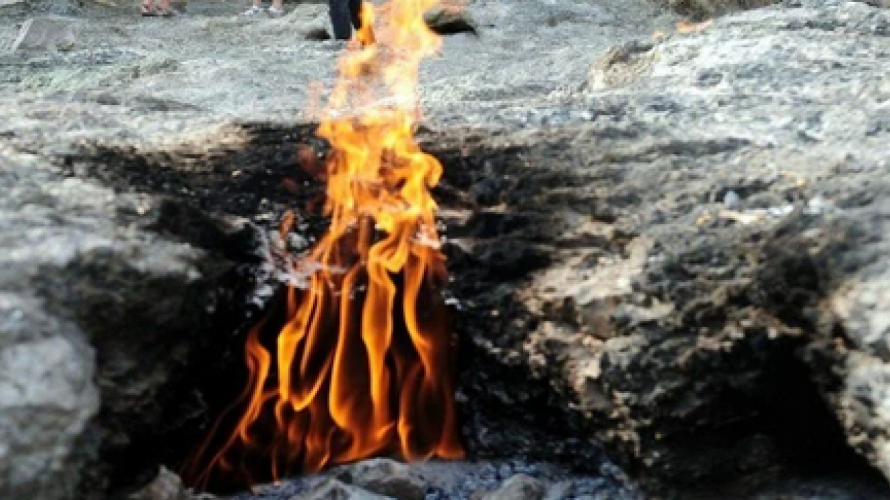 Foto - Antalya'da bu olay dünyayı bile şaşırtıyor: Kimse bu sonucu beklemiyordu!