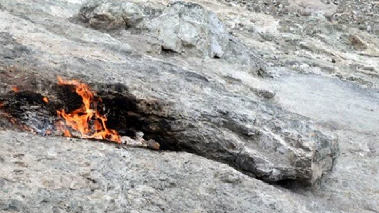 Foto - Antalya'da bu olay dünyayı bile şaşırtıyor: Kimse bu sonucu beklemiyordu!