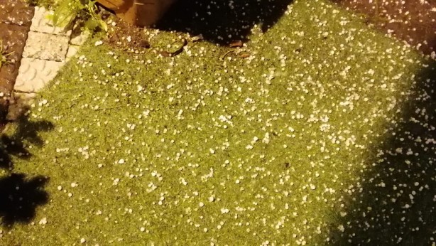 Foto - Antalya'da doludan kaçan araçlar akaryakıt istasyonlarına sağındı