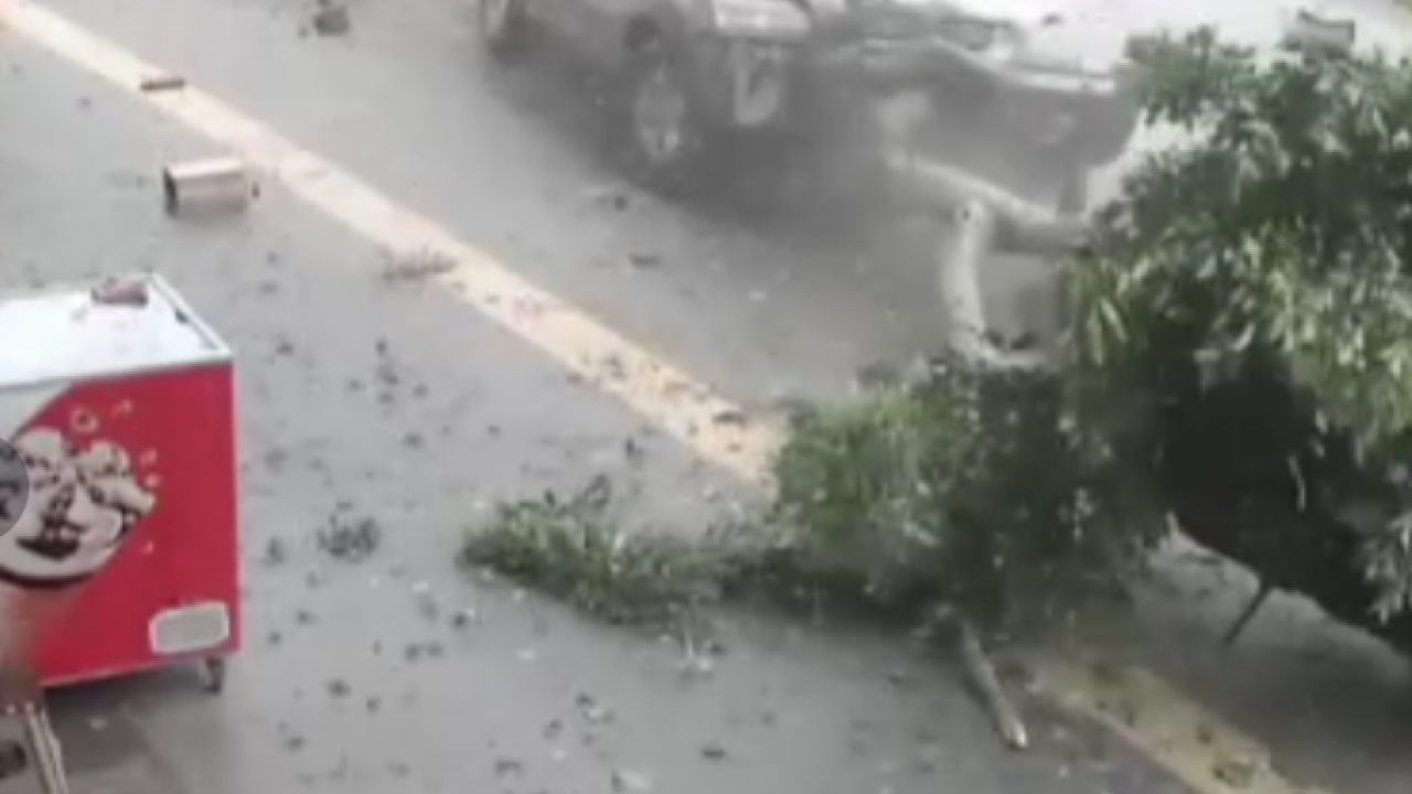 Antalya'da feci kaza: Kırmızı ışık ihlali ortalığı savaş alanına çevirdi