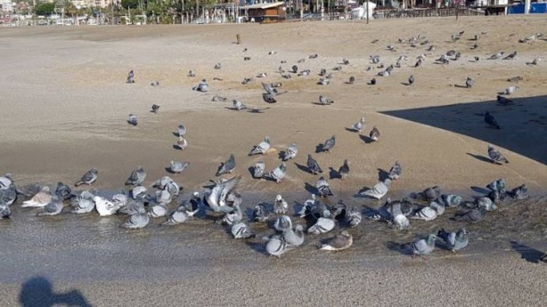 Foto - Antalya'da fırtına sonrası dedektörü alan sahile koştu!