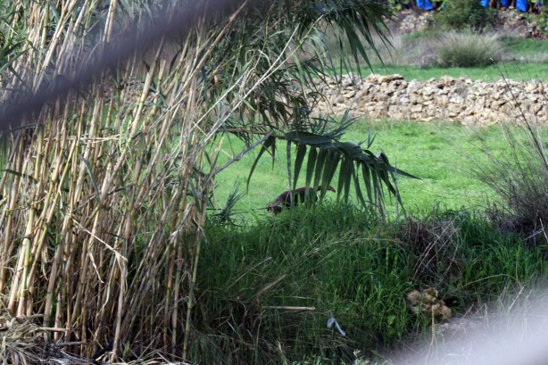 Foto - Antalya'da hareketli dakikalar! Evin etrafına patlayıcılar yerleştirdi