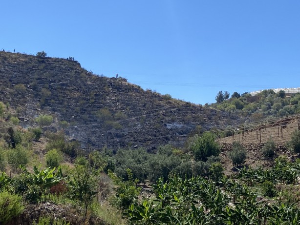 Antalya'da korkutan yangın