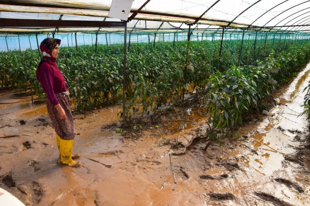 Foto - Antalya'da selden etkilenen çiftçilerin çamurla zorlu mücadelesi!