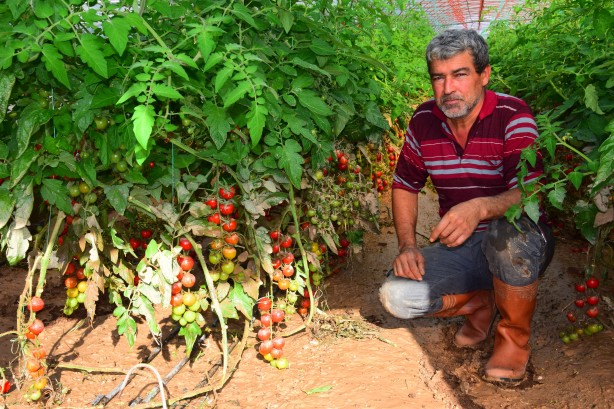 Foto - Antalya'da selden etkilenen çiftçilerin çamurla zorlu mücadelesi!