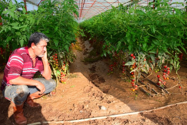 Foto - Antalya'da selden etkilenen çiftçilerin çamurla zorlu mücadelesi!