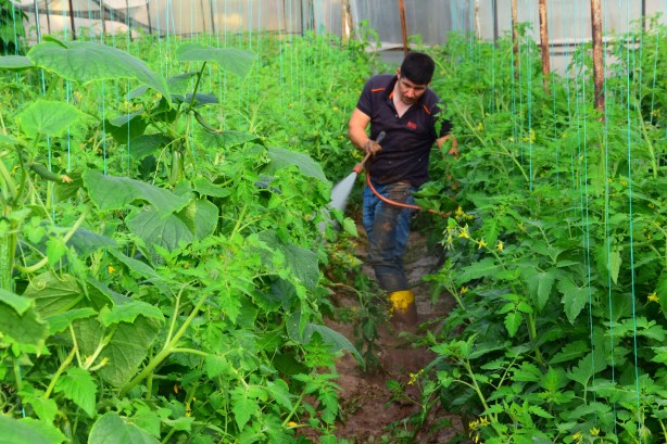 Foto - Antalya'da selden etkilenen çiftçilerin çamurla zorlu mücadelesi!