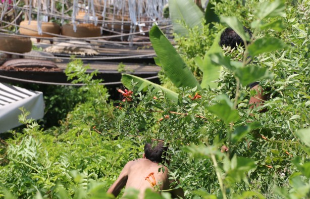 Antalya'da tarzan alarmı! Kimse neler olduğunu anlayamadı