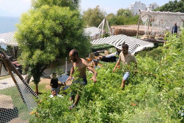 Foto - Antalya'da tarzan alarmı! Kimse neler olduğunu anlayamadı
