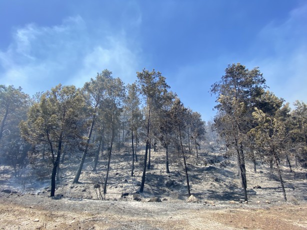 Foto - Antalya'da yangın! Akseki-Manavgat yolu kapatıldı