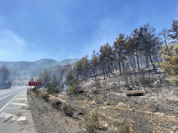 Foto - Antalya'da yangın! Akseki-Manavgat yolu kapatıldı