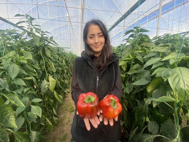 Foto - Antalya'da yetişiyor! Rusya vazgeçti, Polonya ve Makedonya'dan talep yağmaya başladı