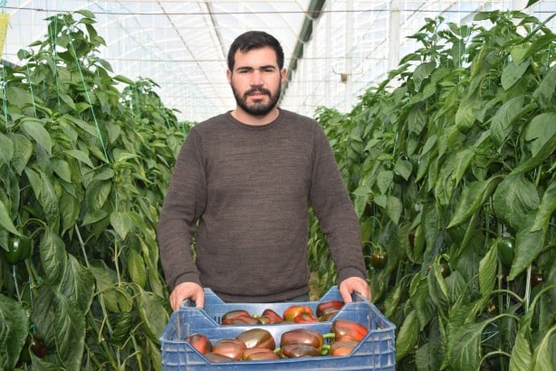 Foto - Antalya'da yetişiyor! Rusya vazgeçti, Polonya ve Makedonya'dan talep yağmaya başladı
