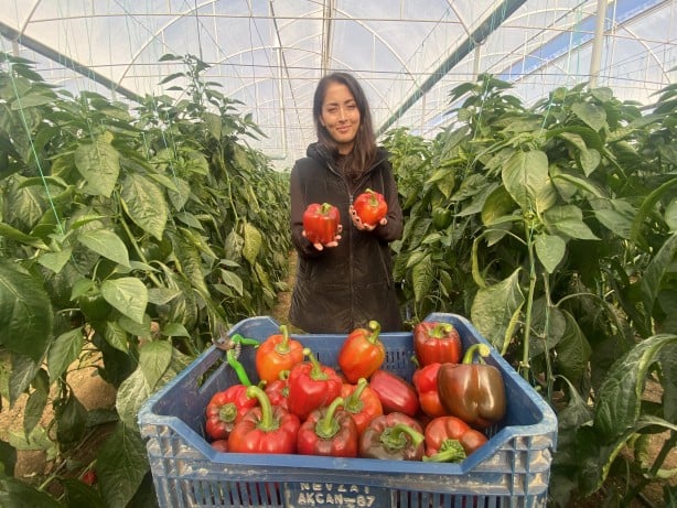 Foto - Antalya'da yetişiyor! Rusya vazgeçti, Polonya ve Makedonya'dan talep yağmaya başladı