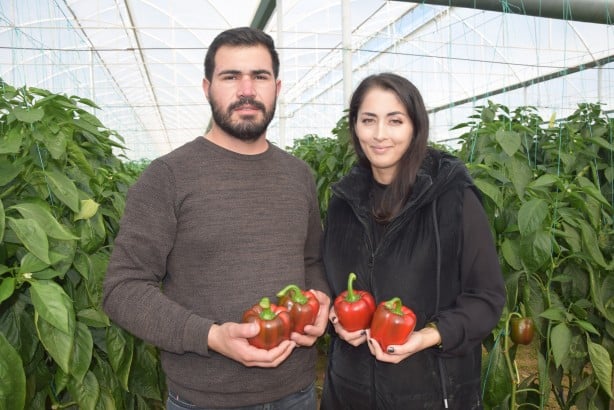 Foto - Antalya'da yetişiyor! Rusya vazgeçti, Polonya ve Makedonya'dan talep yağmaya başladı