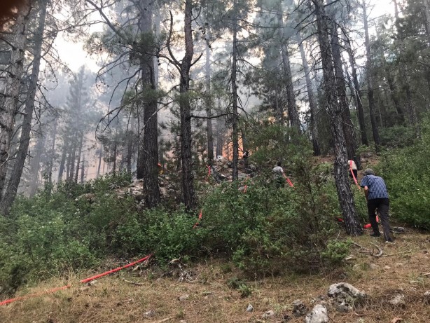 Foto - Antalya'daki orman yangını saatlerdir söndürülemiyor!