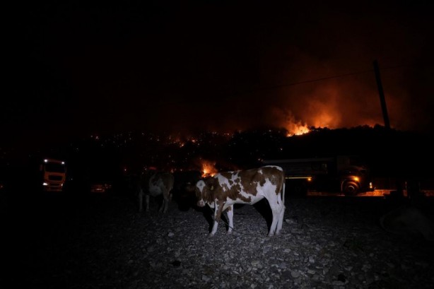 Foto - Antalya'daki orman yangınlarına Ukrayna'dan 2 uçakla destek!