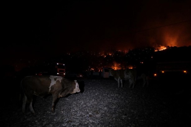 Foto - Antalya'daki orman yangınlarına Ukrayna'dan 2 uçakla destek!