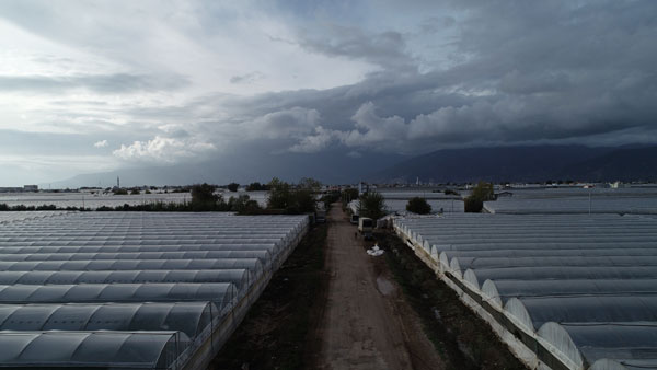 Foto - Antalya Kumluca'daki sel seraları da vurdu