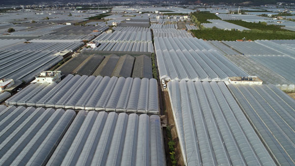 Foto - Antalya Kumluca'daki sel seraları da vurdu