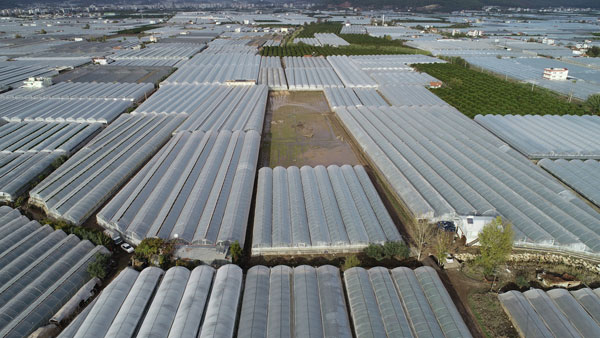 Foto - Antalya Kumluca'daki sel seraları da vurdu