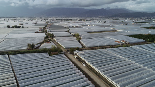 Foto - Antalya Kumluca'daki sel seraları da vurdu
