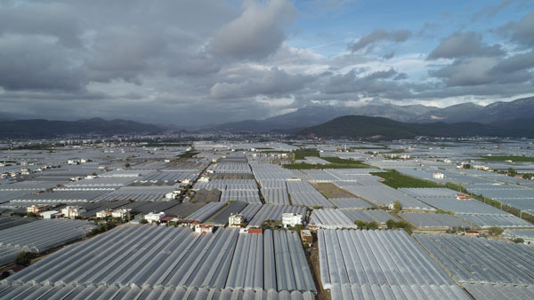 Foto - Antalya Kumluca'daki sel seraları da vurdu