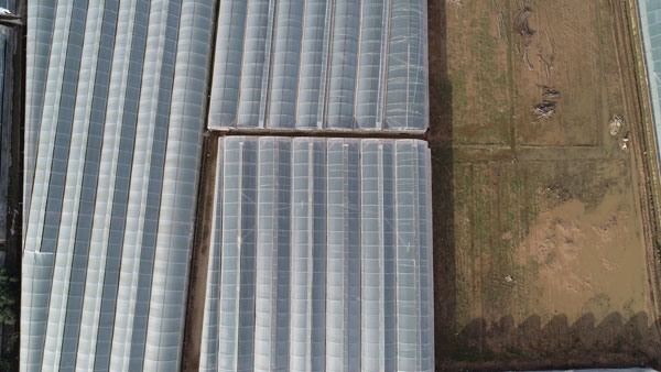 Foto - Antalya Kumluca'daki sel seraları da vurdu