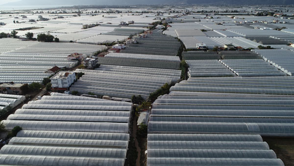 Foto - Antalya Kumluca'daki sel seraları da vurdu