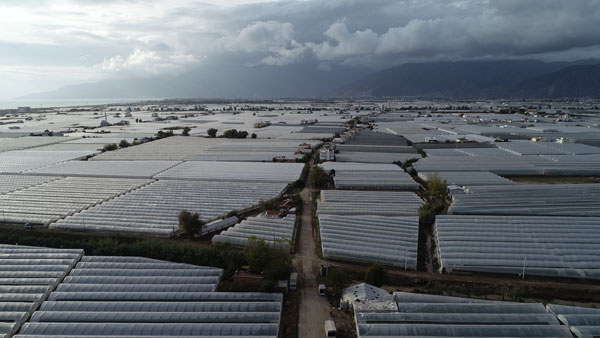 Foto - Antalya Kumluca'daki sel seraları da vurdu