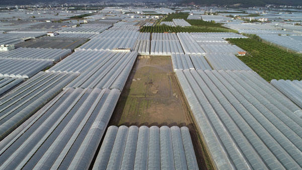 Foto - Antalya Kumluca'daki sel seraları da vurdu