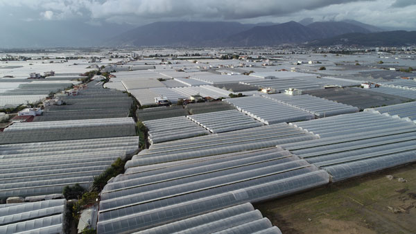 Foto - Antalya Kumluca'daki sel seraları da vurdu
