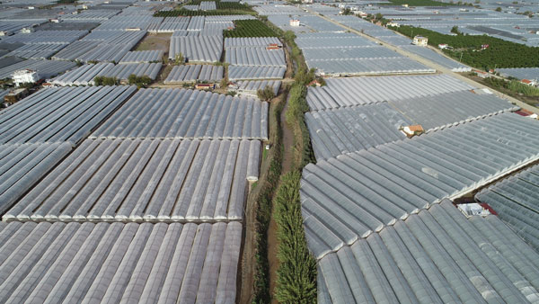 Antalya Kumluca'daki sel seraları da vurdu