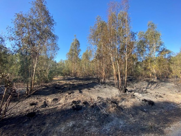 Foto - Antalya'daki yangın kontrol altına alındı