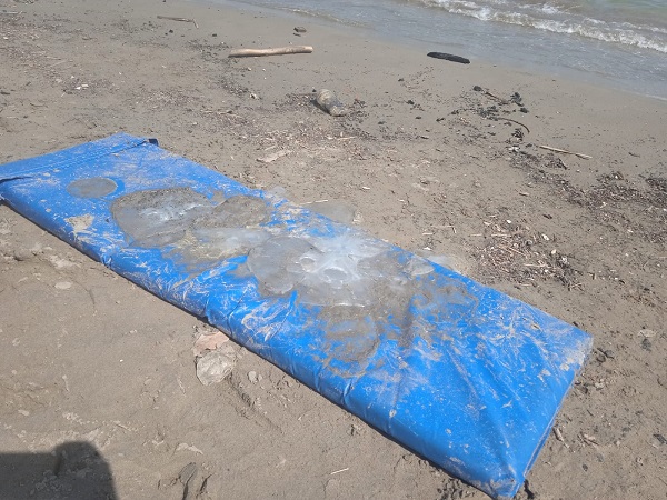 Foto - Antalya'dan korkutan manzara