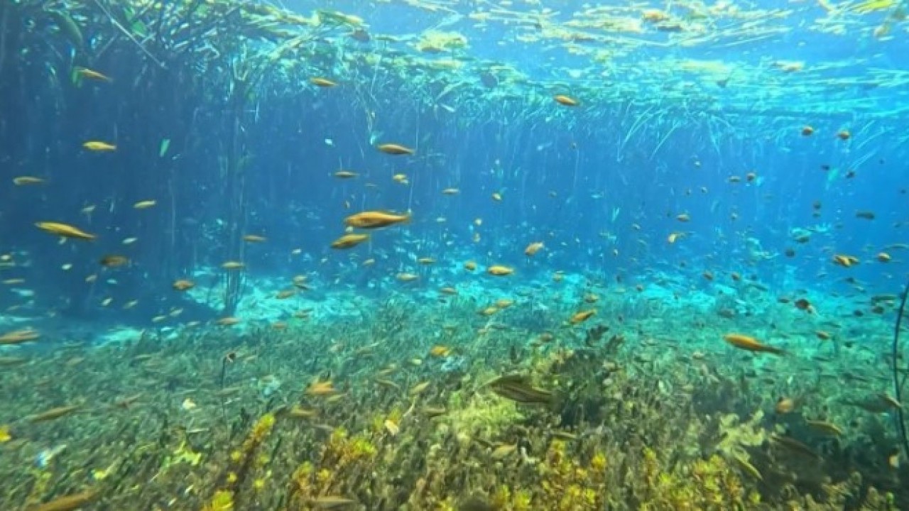 Foto - Antalya’nın can damarı atıkla dolu! İçme suyu krizi büyüyor