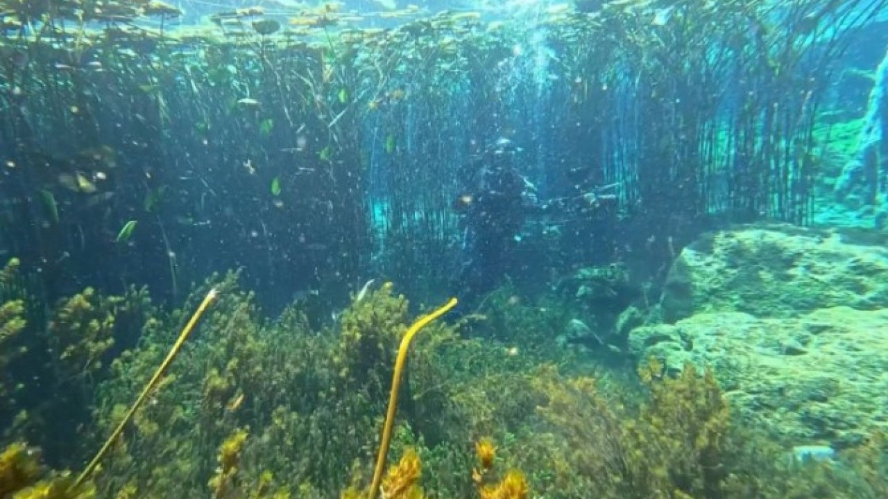Foto - Antalya’nın can damarı atıkla dolu! İçme suyu krizi büyüyor