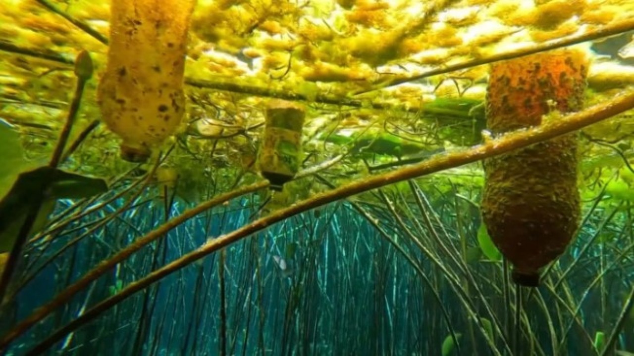 Foto - Antalya’nın can damarı atıkla dolu! İçme suyu krizi büyüyor
