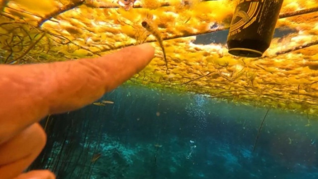 Antalya’nın can damarı atıkla dolu! İçme suyu krizi büyüyor